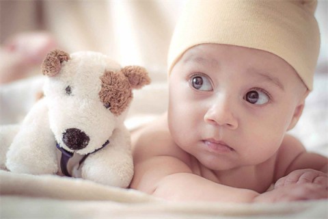 http://kunming.51dzb.net/post/193.html|昆明供卵助孕