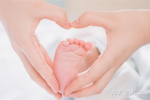 http://kunming.51dzb.net/post/188.html|昆明新闻中心
